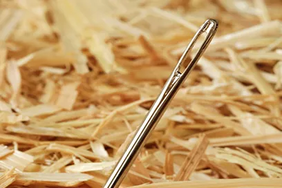 Needle in a haystack